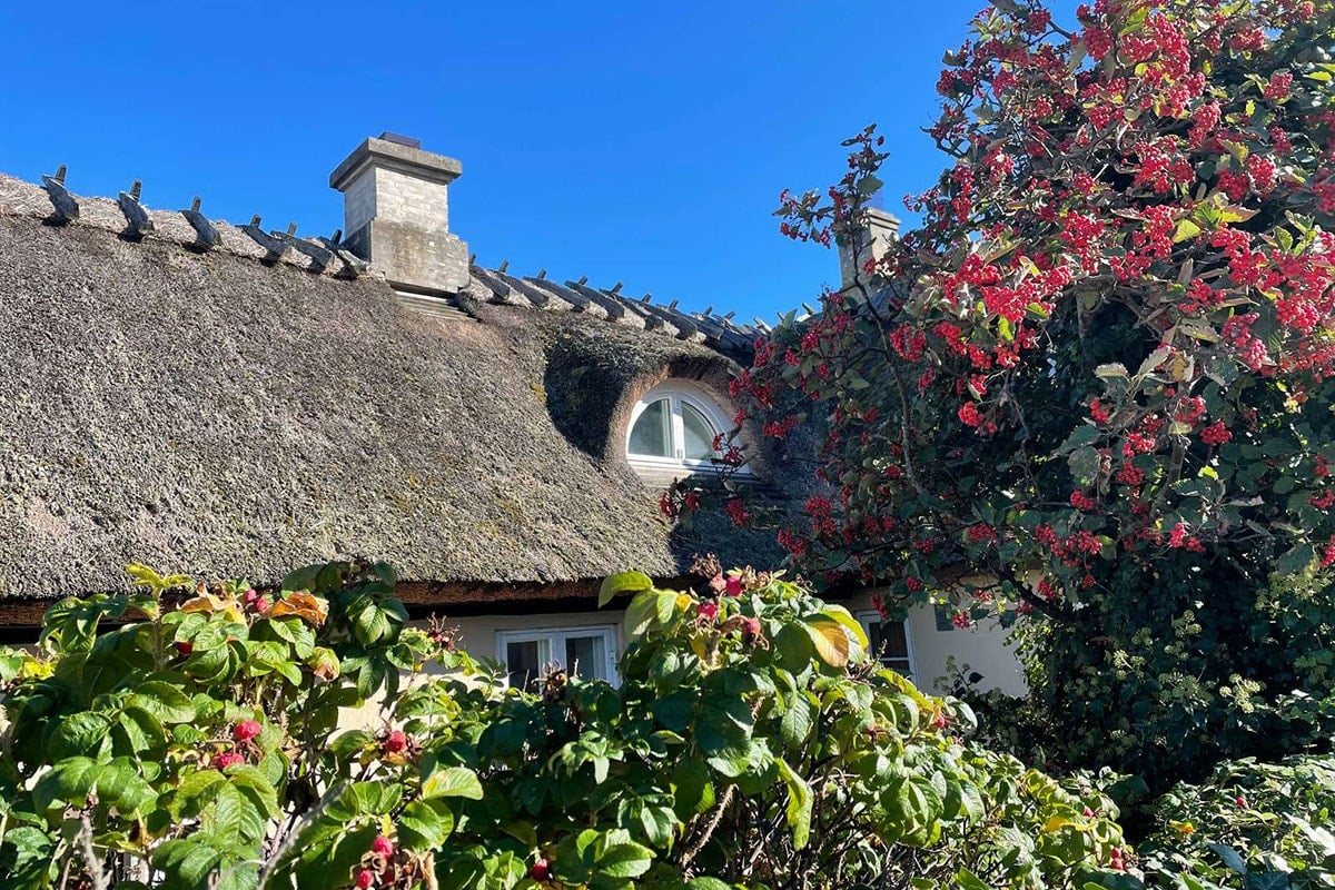 Taket på Monkerup Hus ses i solsken med blå himmel.