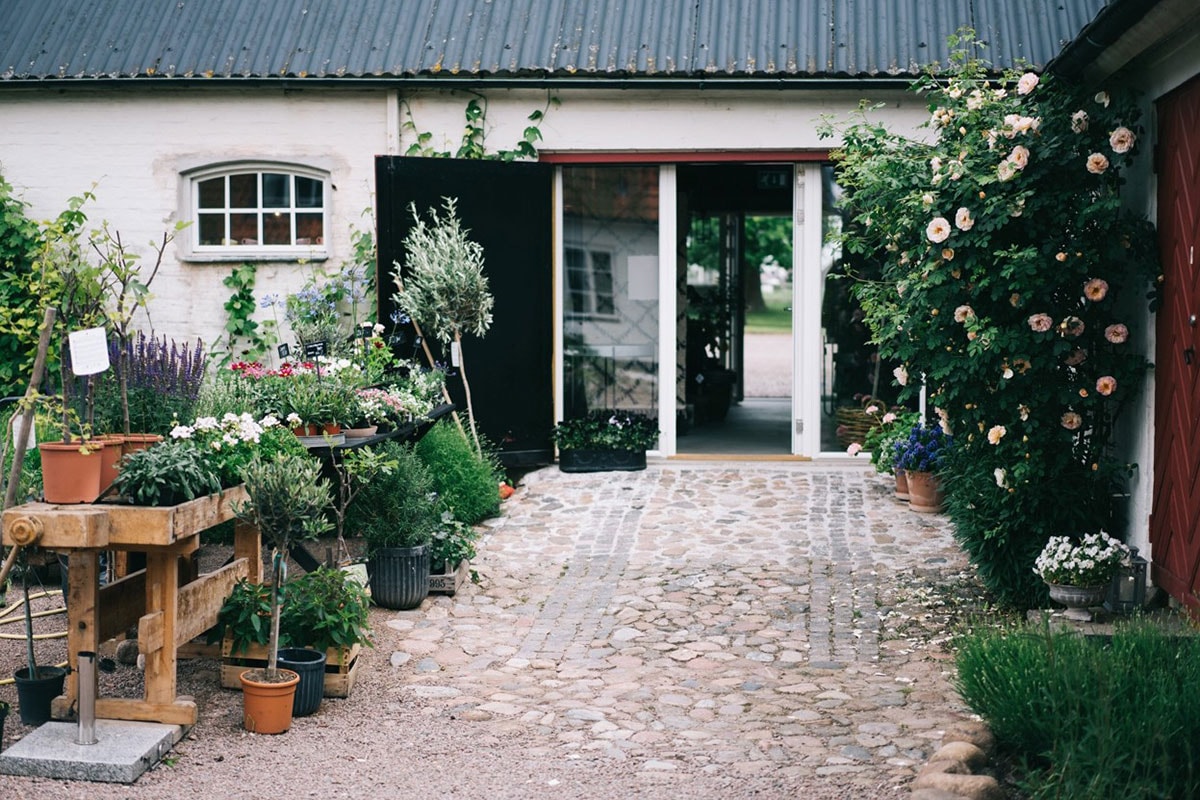 Indgangen til Hillesdal ses med brostensbelagt indgang og buske og træer