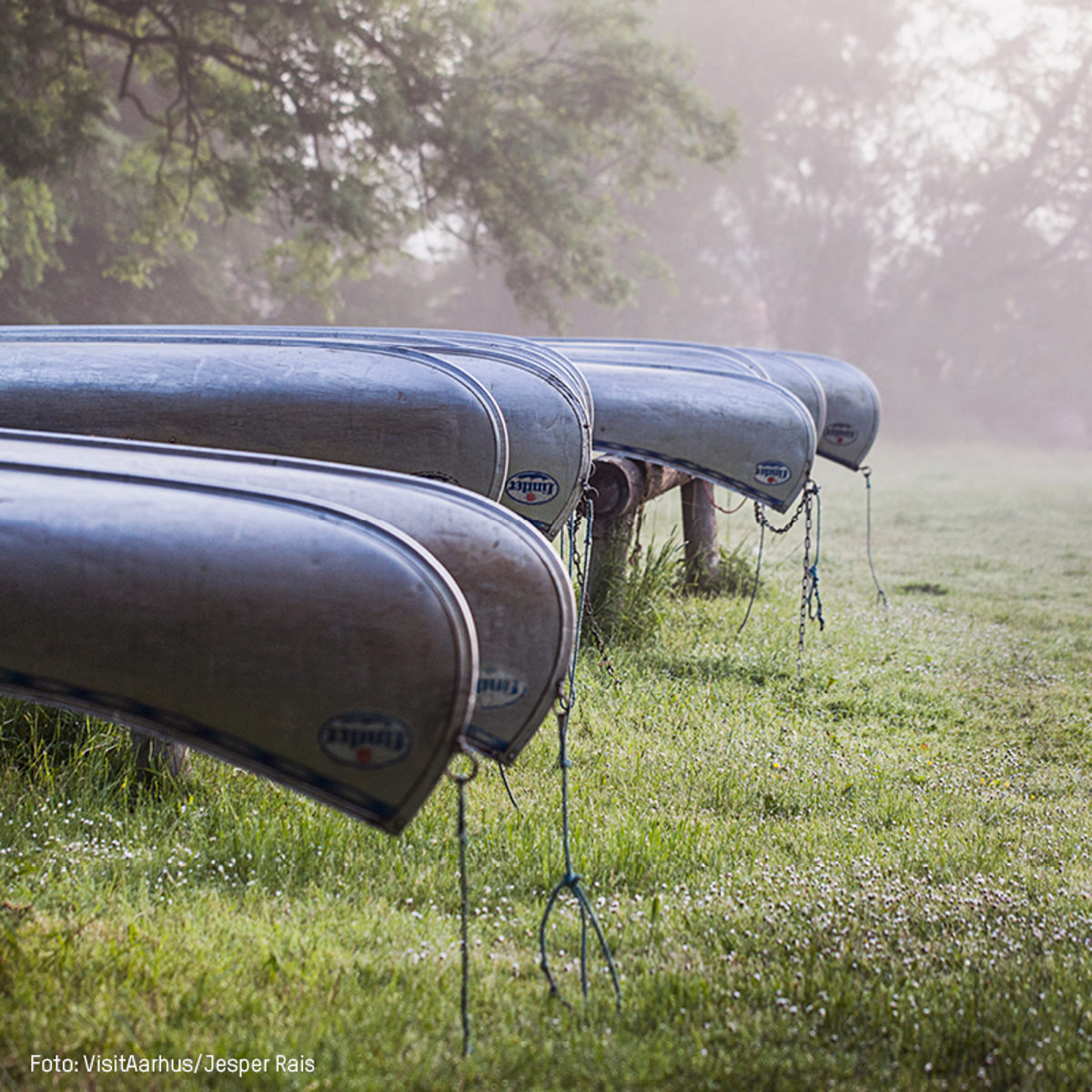 105 Kanoer 600X600px