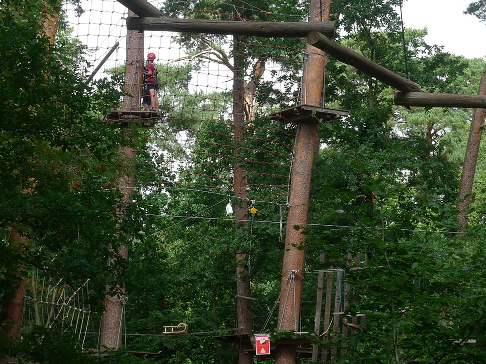 Person iført sikkerhedsudstyr klatrer på en høj svævebane mellem træer i en skov.