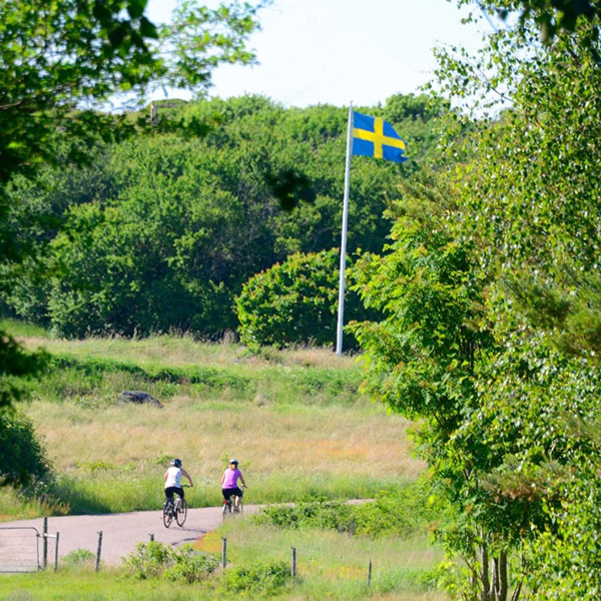 To cyklister på en landevej i naturen med svensk flag i baggrunden og frodig grønt landskab rundt omkring.