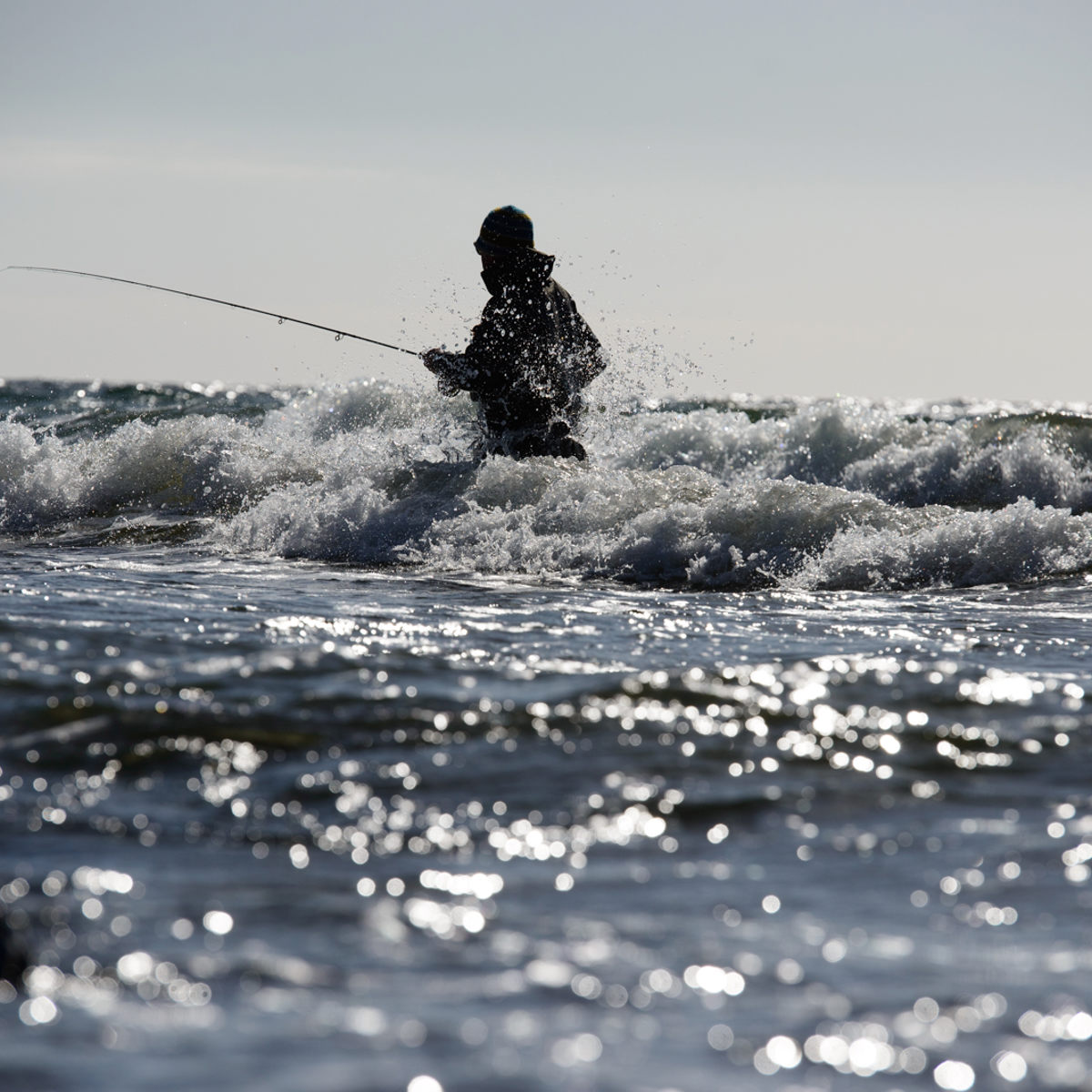 Lystfisk Bd 06004 Foto Anders Nicander