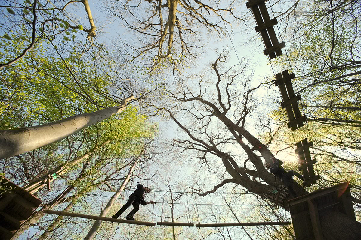 En man går på en lina i Gavnø klätterbana i grodperspektiv.