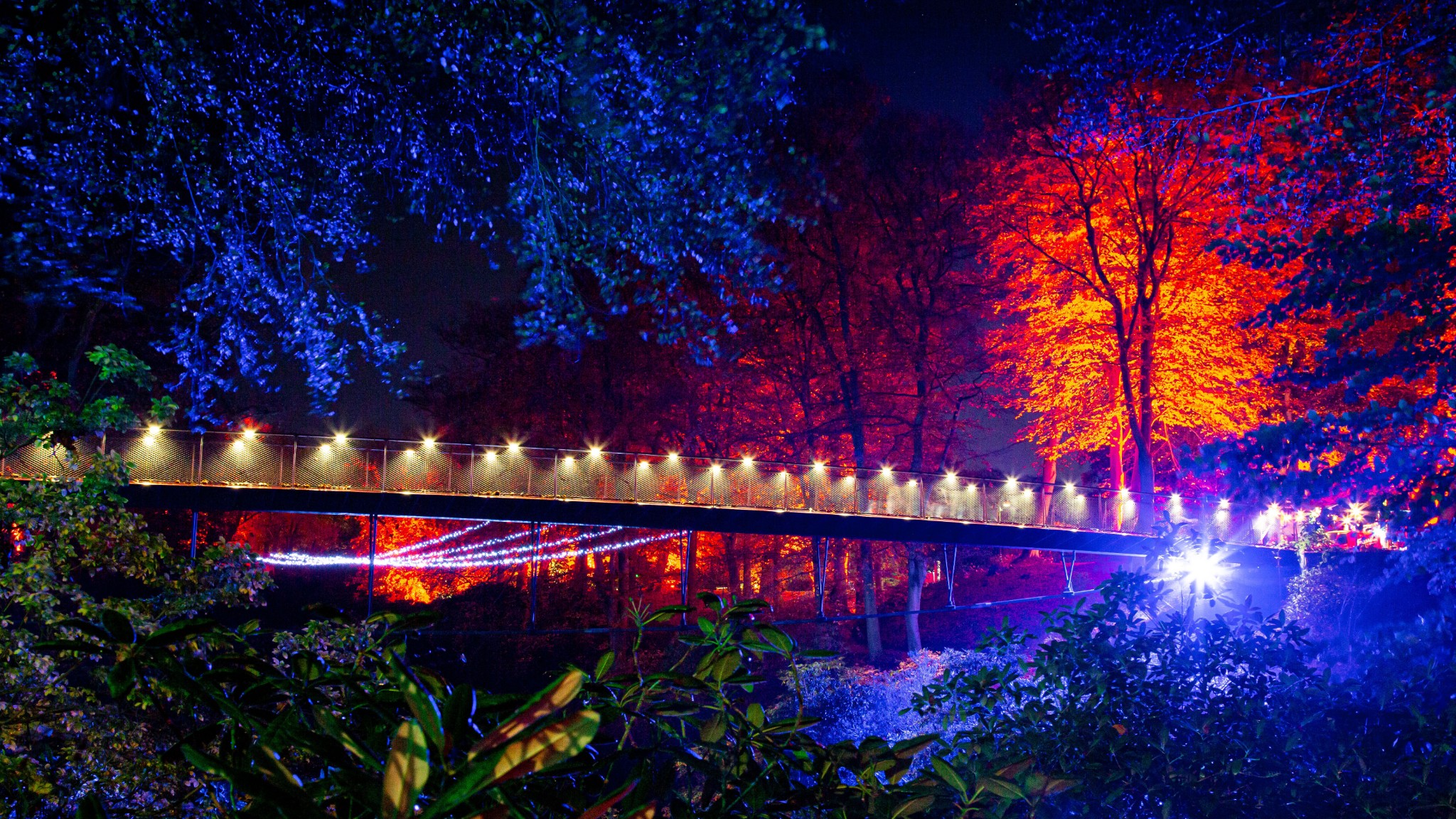 Höstljus 2025 Tixly 1920X1080 Mattias Berglund