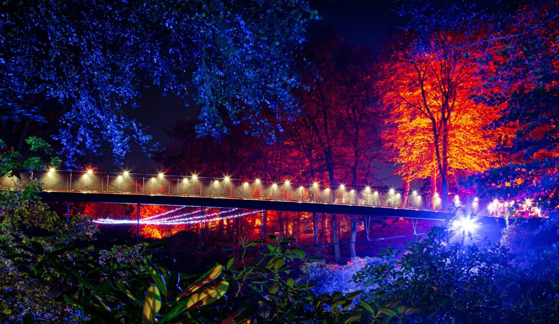 Höstljus 2025 Tixly 1920X1080 Mattias Berglund