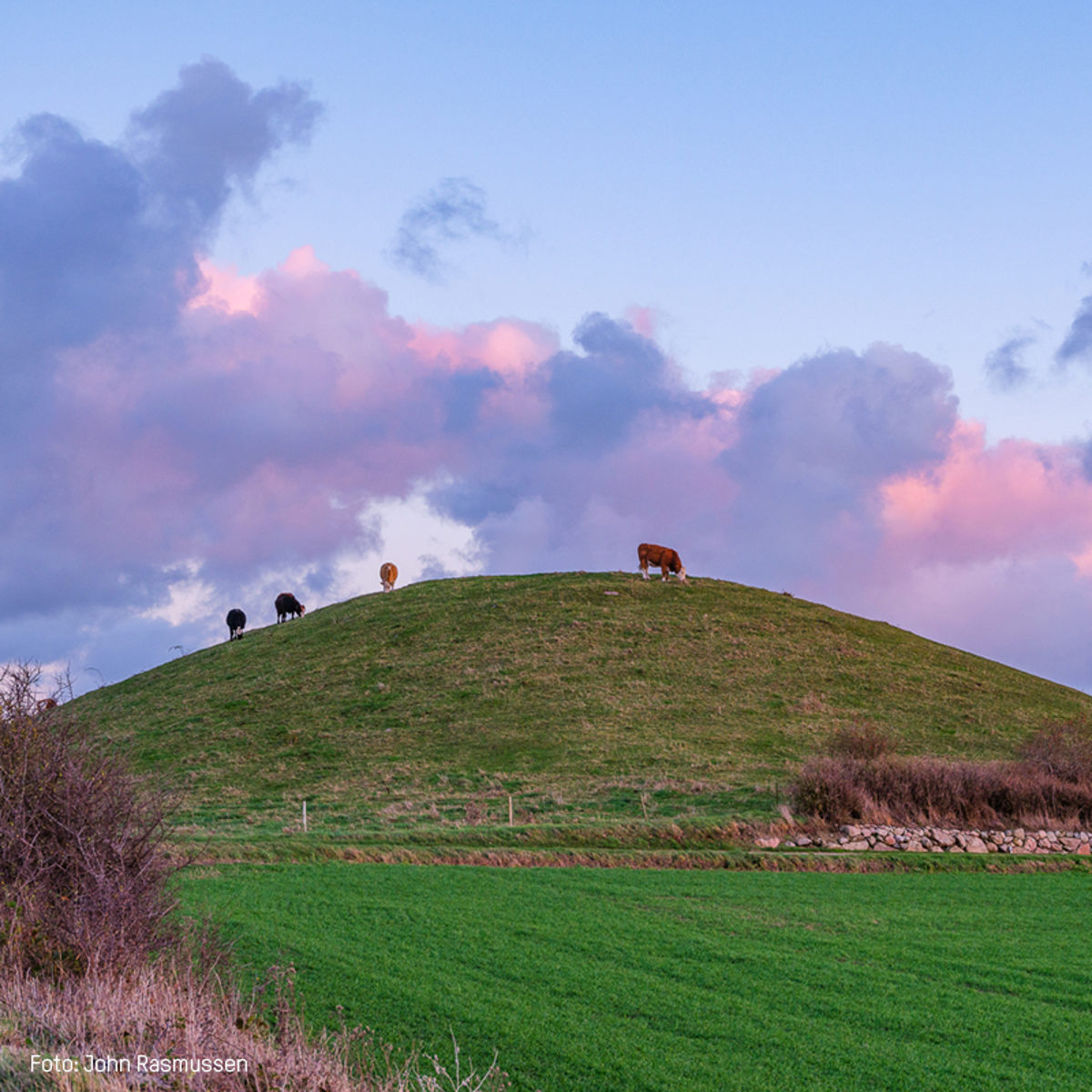 61 Hatbakke 600X600px