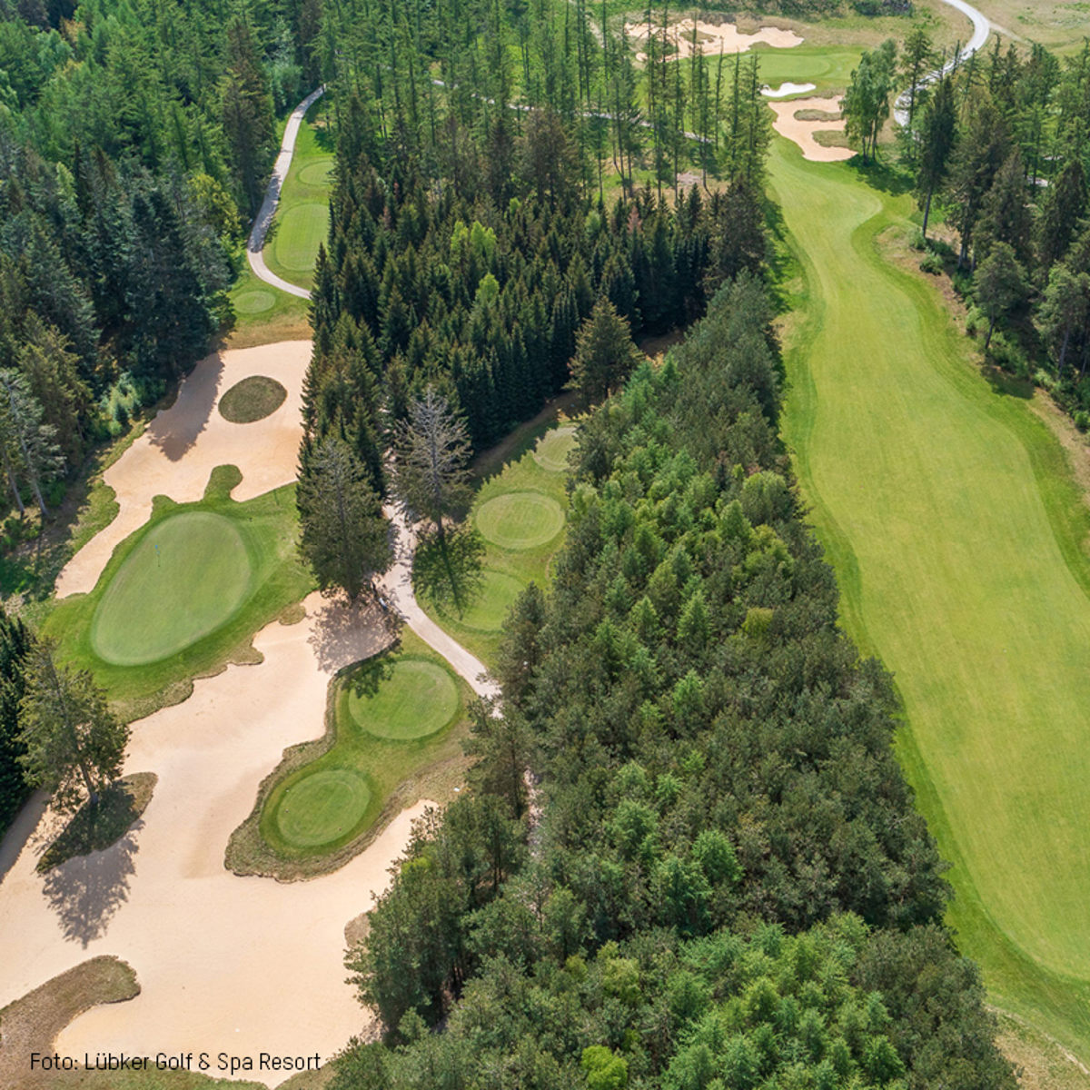 Lübker Golfbane set oppefra med grønne fairways og bunkere omgivet af frodige træer og skovområder.