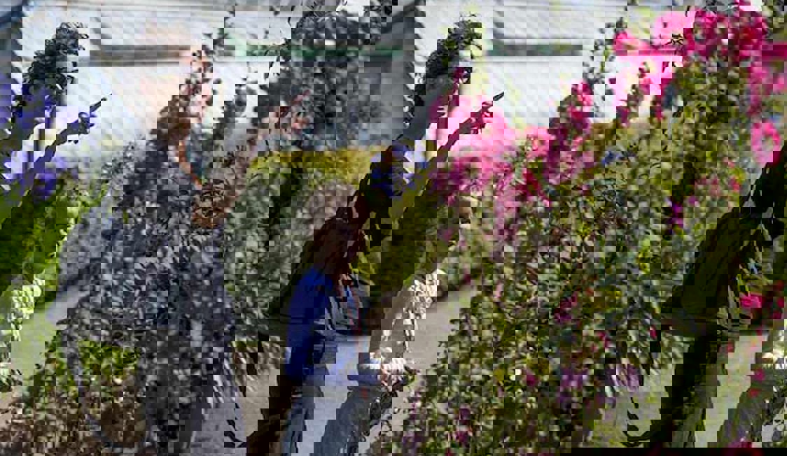 Gavno Slott Sinnestradgarden Sfw 600X400