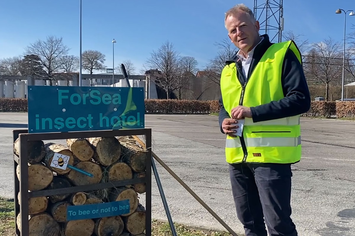 Hallbart Mal 11 Insektshotell Soren Sfw 1200X800