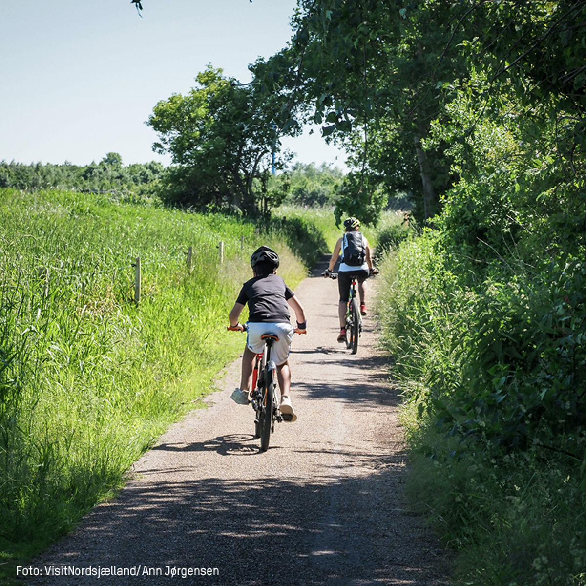 To personer cykler på en smal sti omgivet af frodig natur under en klar blå himmel i sommersolskin.