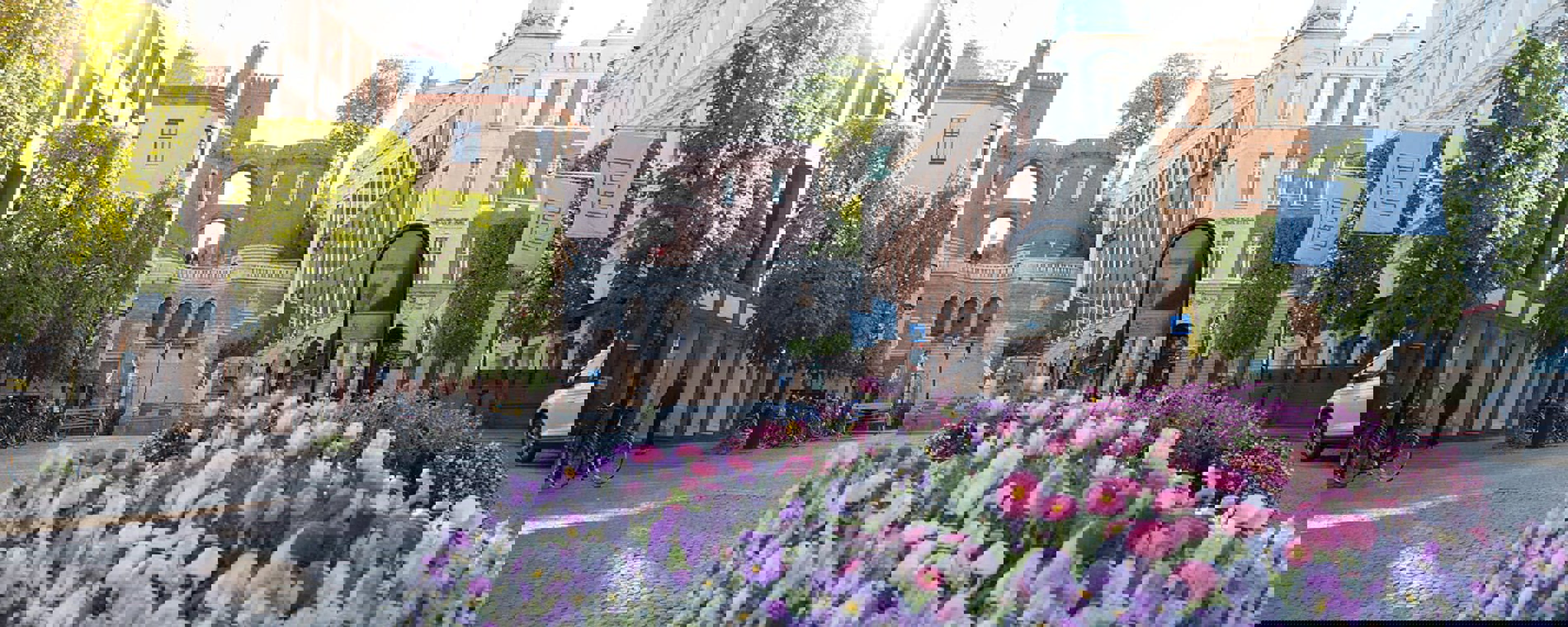 Helsingborg by ses med et blomsterbed i forgrunden og bygninger, der tårner op bagved.