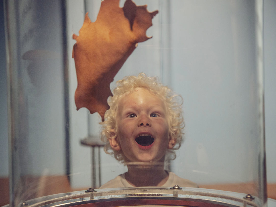 Pojke med lockigt hår i Miniverset-utställningen ser förvånat på ett flygande löv inuti en glasbehållare.