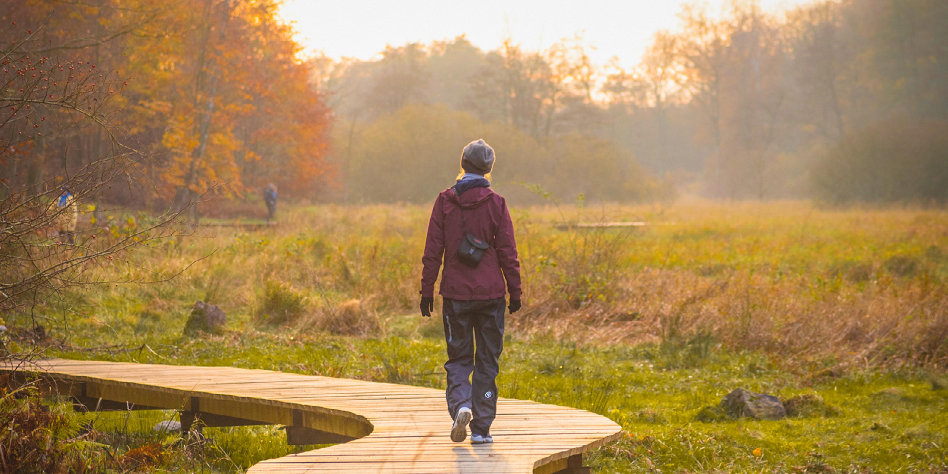 Destination Bornholm Rokkestenen