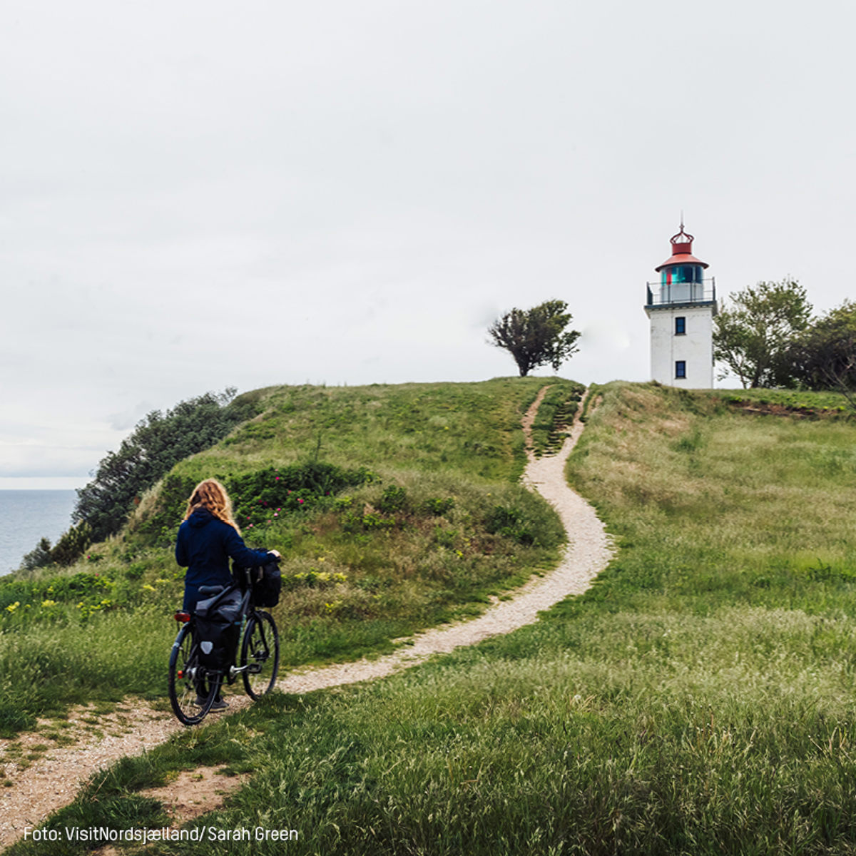 Cyklist på sti mod fyrtårn på bakketop i grønt landskab, set bagfra, grå himmel i baggrunden.