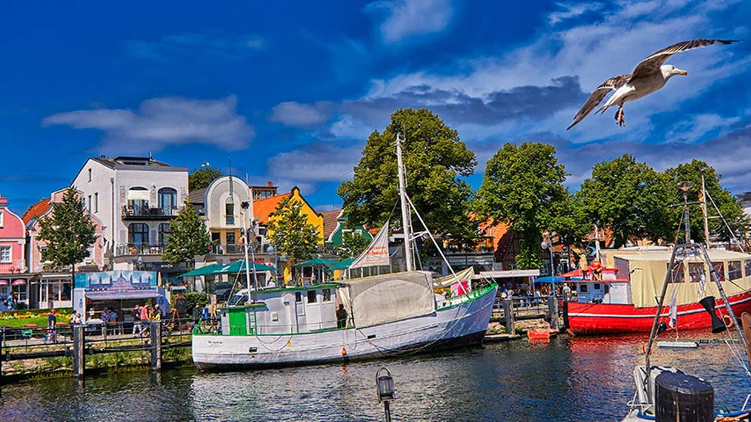 Båtar vid kajen i Rostock Alter Strom på solig dag med färgglada hus i bakgrunden och en mås som flyger över hamnen.