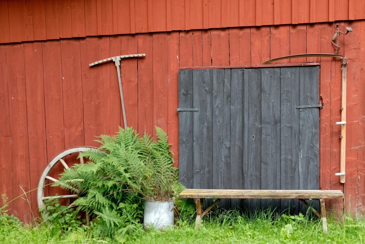 Rød trævæg med sort låge, bregner i metalspand og landbrugsredskaber giver rustik atmosfære i haven.