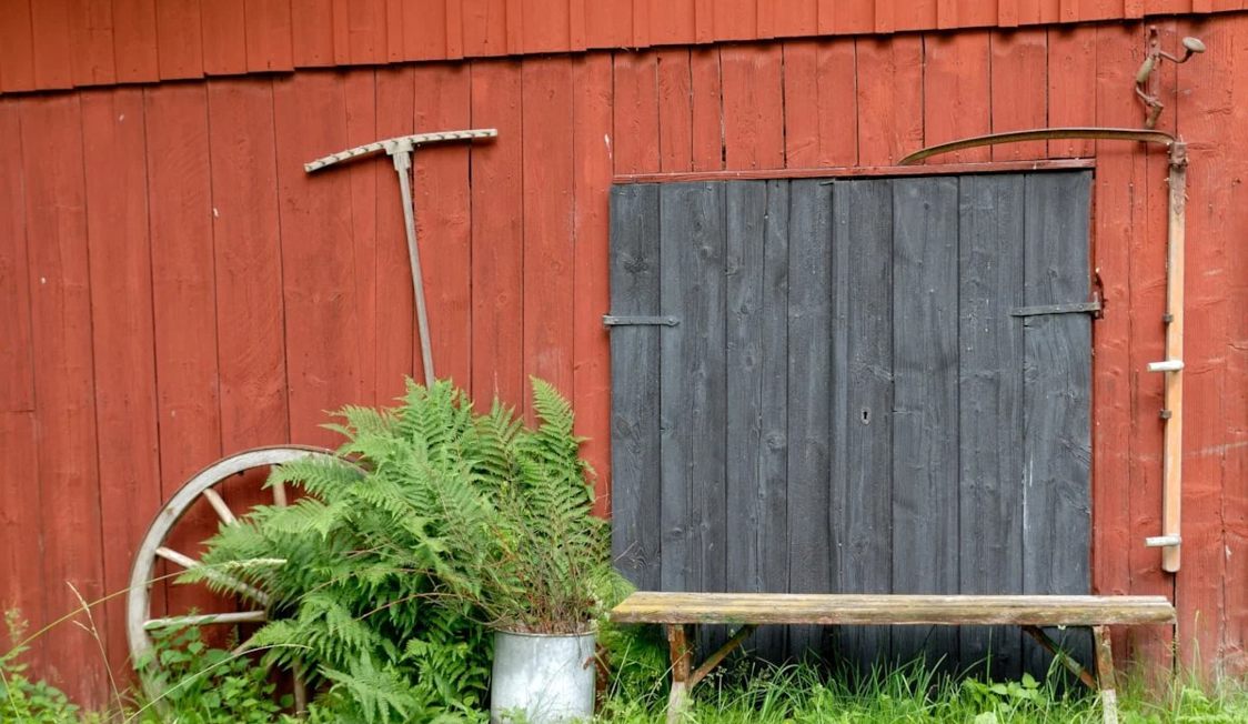 Rød trævæg med sort låge, bregner i metalspand og landbrugsredskaber giver rustik atmosfære i haven.