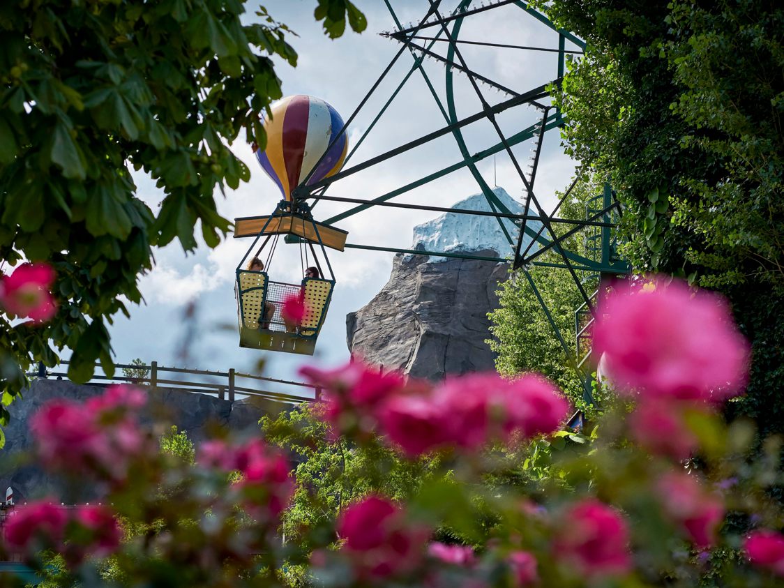 Varmluftballon-forlystelse svæver over blomstrende roser i en forlystelsespark på en solrig dag.