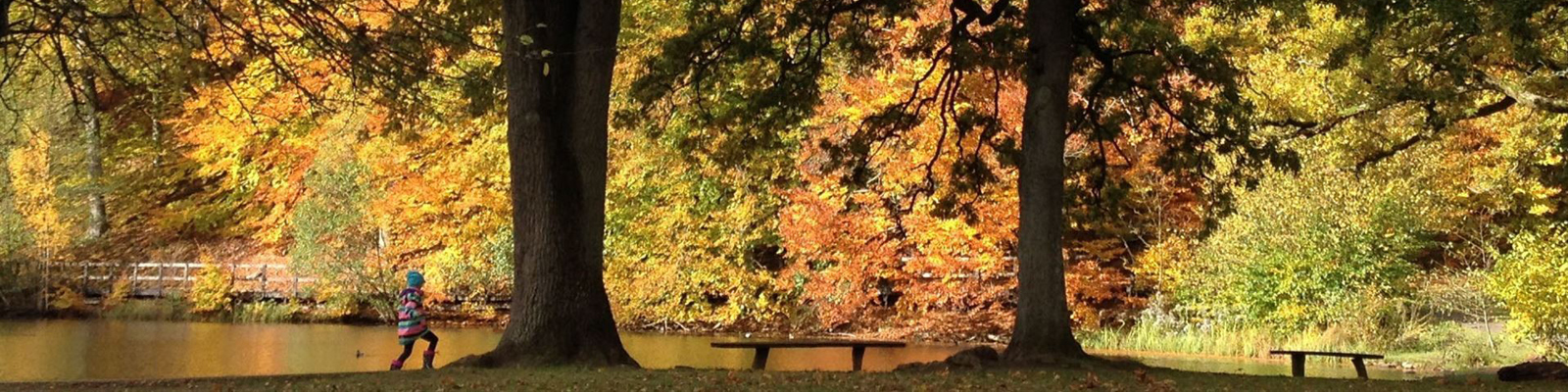 Topbanner 400X1600 20 Minutter Efteraar