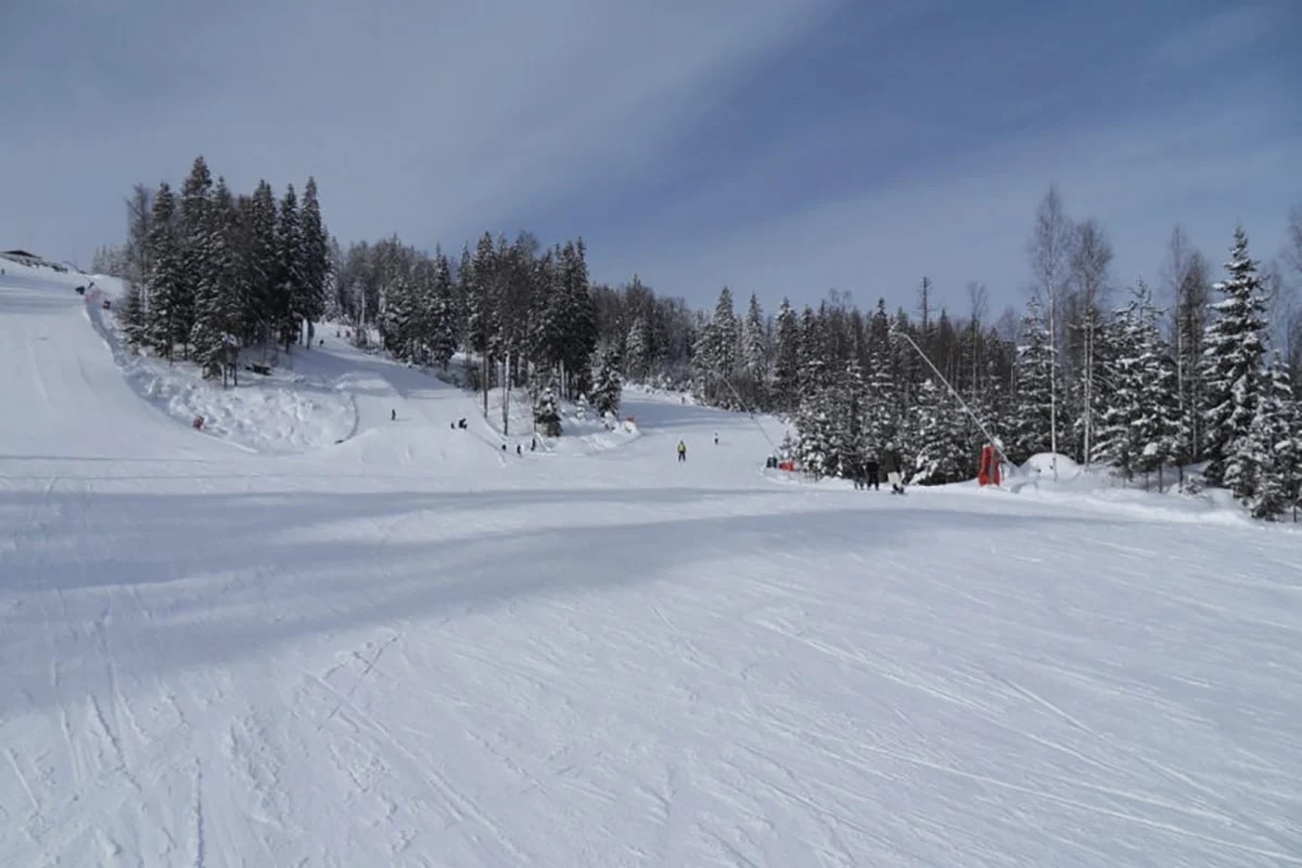 Skiløbere på sneklædt skibakke omringet af snedækkede træer under en klar blå himmel i bjergområde.