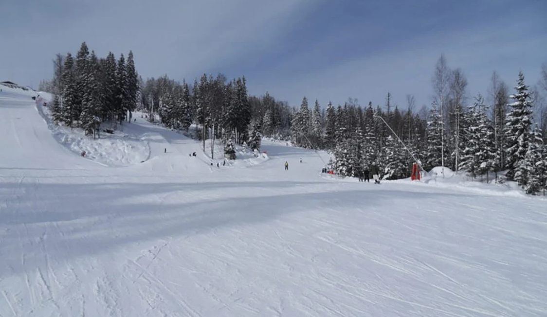 Skiløbere på sneklædt skibakke omringet af snedækkede træer under en klar blå himmel i bjergområde.