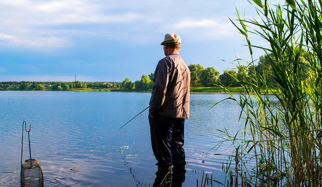 Mand fisker ved en søbred omgivet af siv og stille blå himmel på en solrig dag.