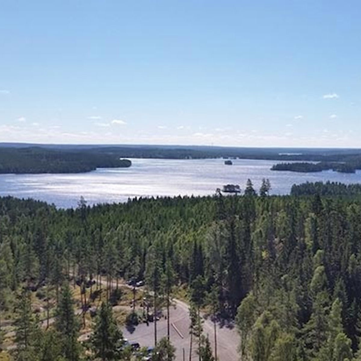 Udsigt over smuk sø omgivet af tæt skov på en klar dag, set fra en højdemæssig vinkel.