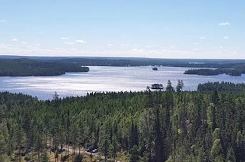 Kronoberg Skog Vatten Sfw 600X600