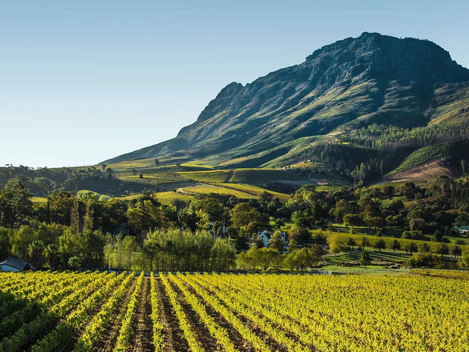 Stellenbosch Vybild Sfw 1600X1200