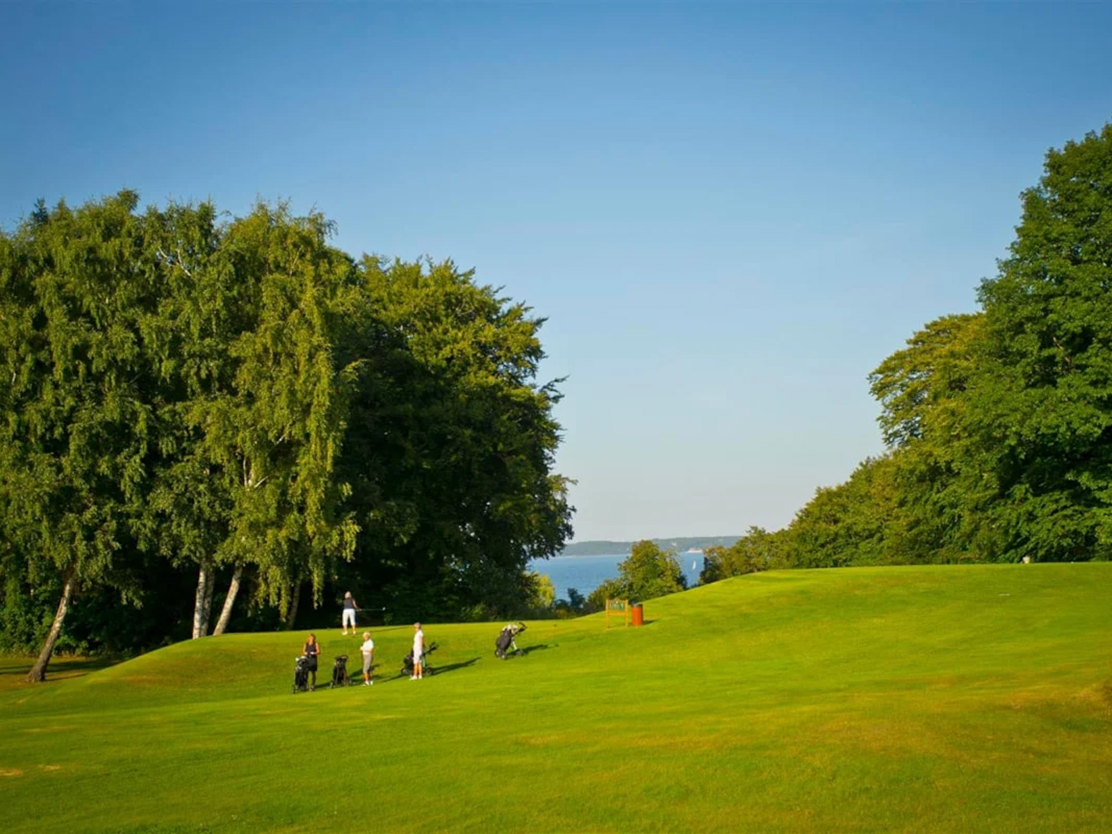 Golfare på Helsingörs golfklubb med utsikt över havet i soligt väder.