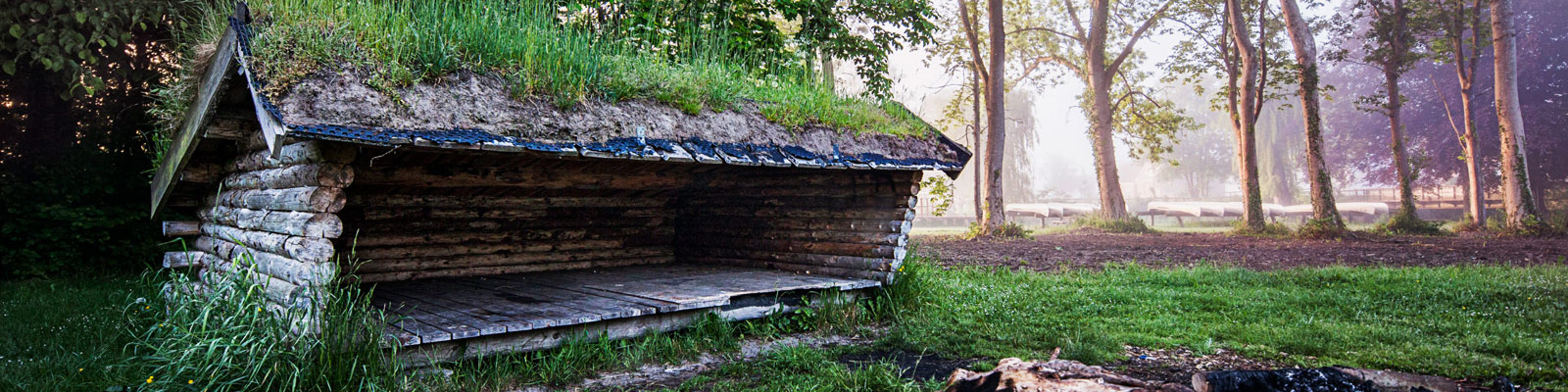 Shelter lavet af træstammer beliggende i skoven omgivet af frodig vegetation og morgensol.