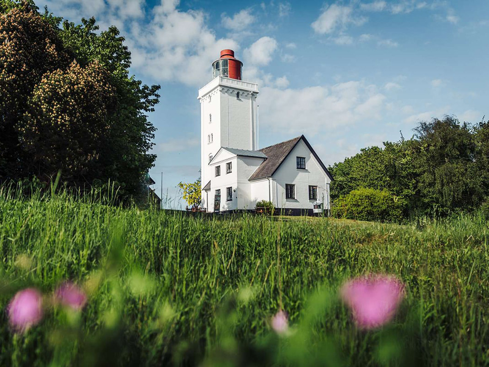 Cykelsemester längs Rutt 47 på Nordjyllands kust med ett vitt hus i förgrunden och grön natur runtom.