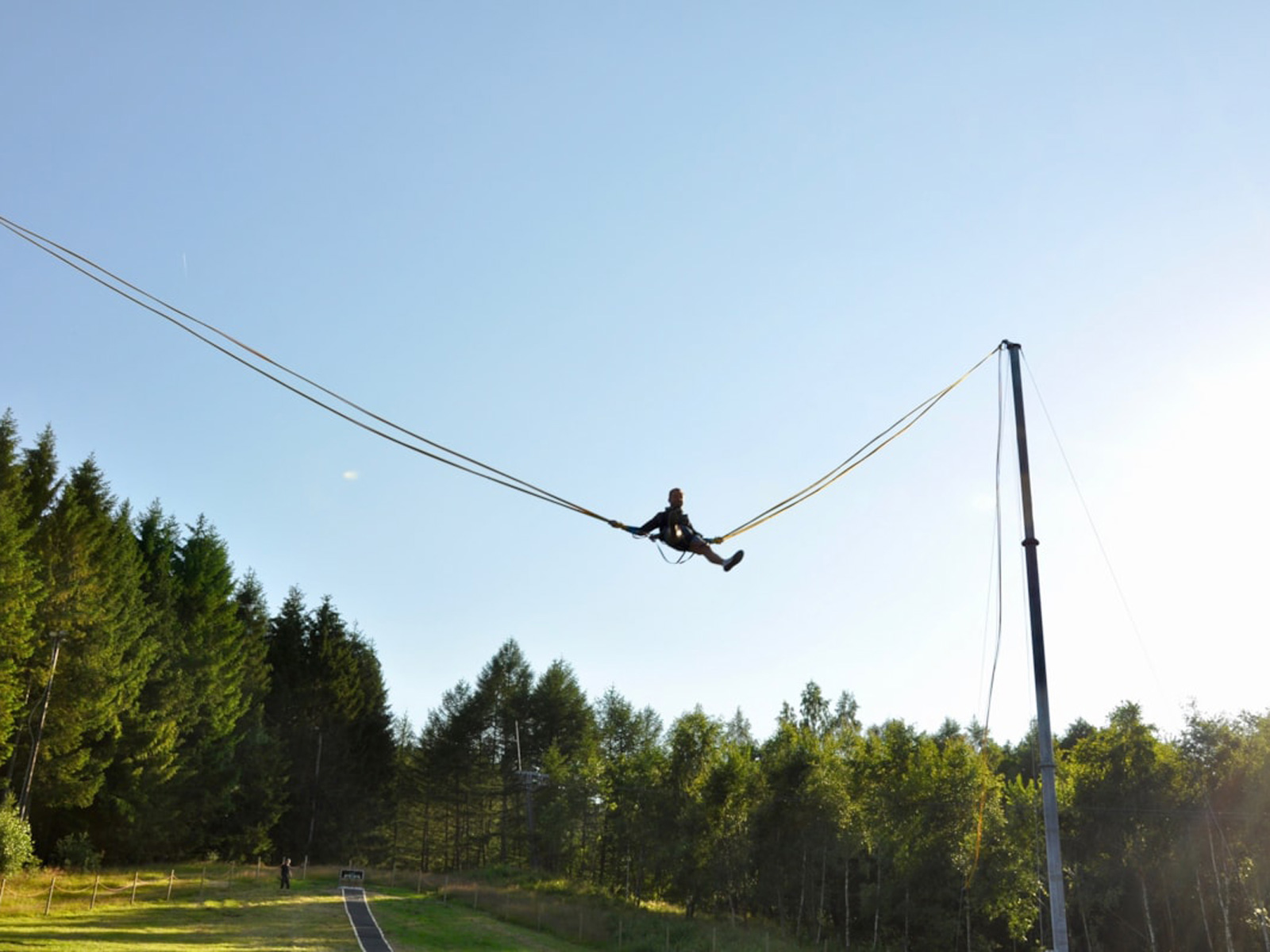 Person svinger i elastikslynge over skovklædt område på en solrig dag.