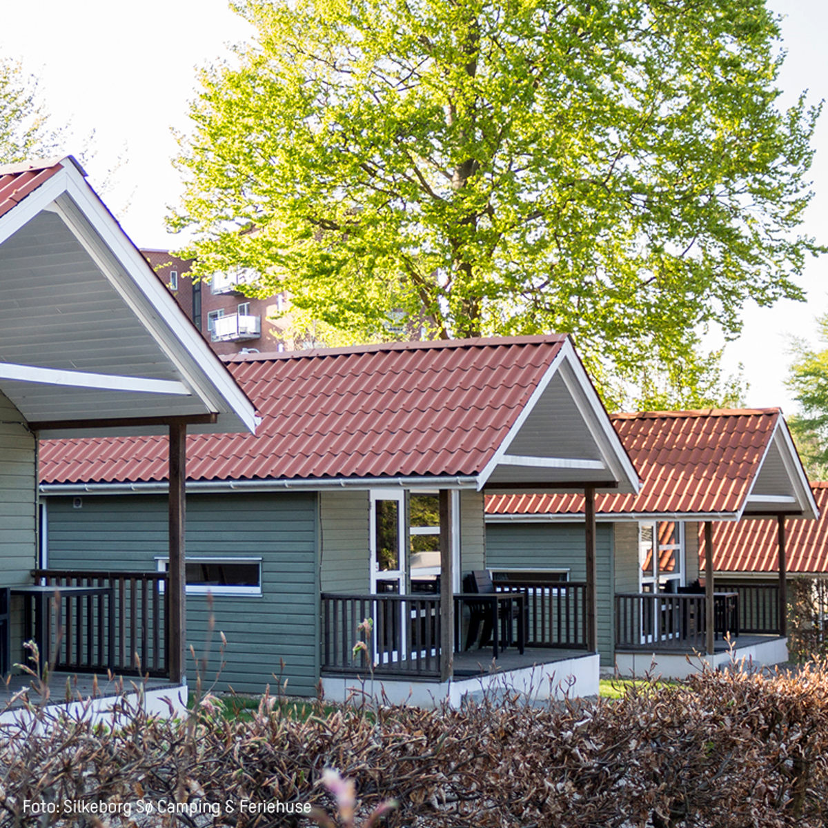 Flere grønne campinghytter med røde tegltag ved Silkeborg Sø Camping på en solrig dag.