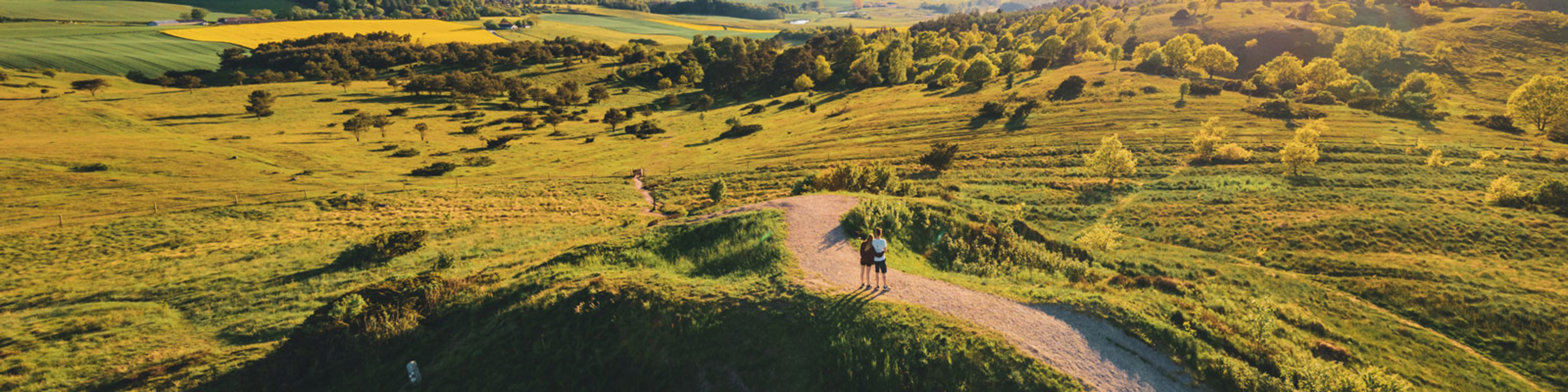 To personer går ad en sti gennem de grønne, kuperede marker i Mols Bjerge i solskinsvejr.
