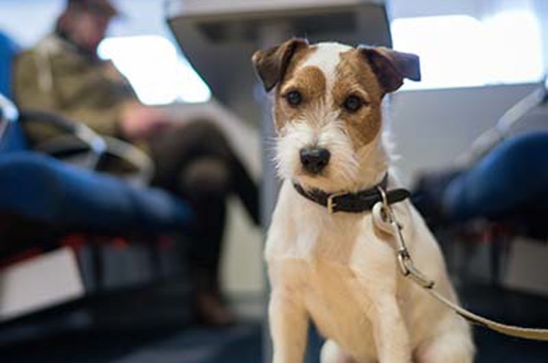 Molslinjen Dsc5263 400X400