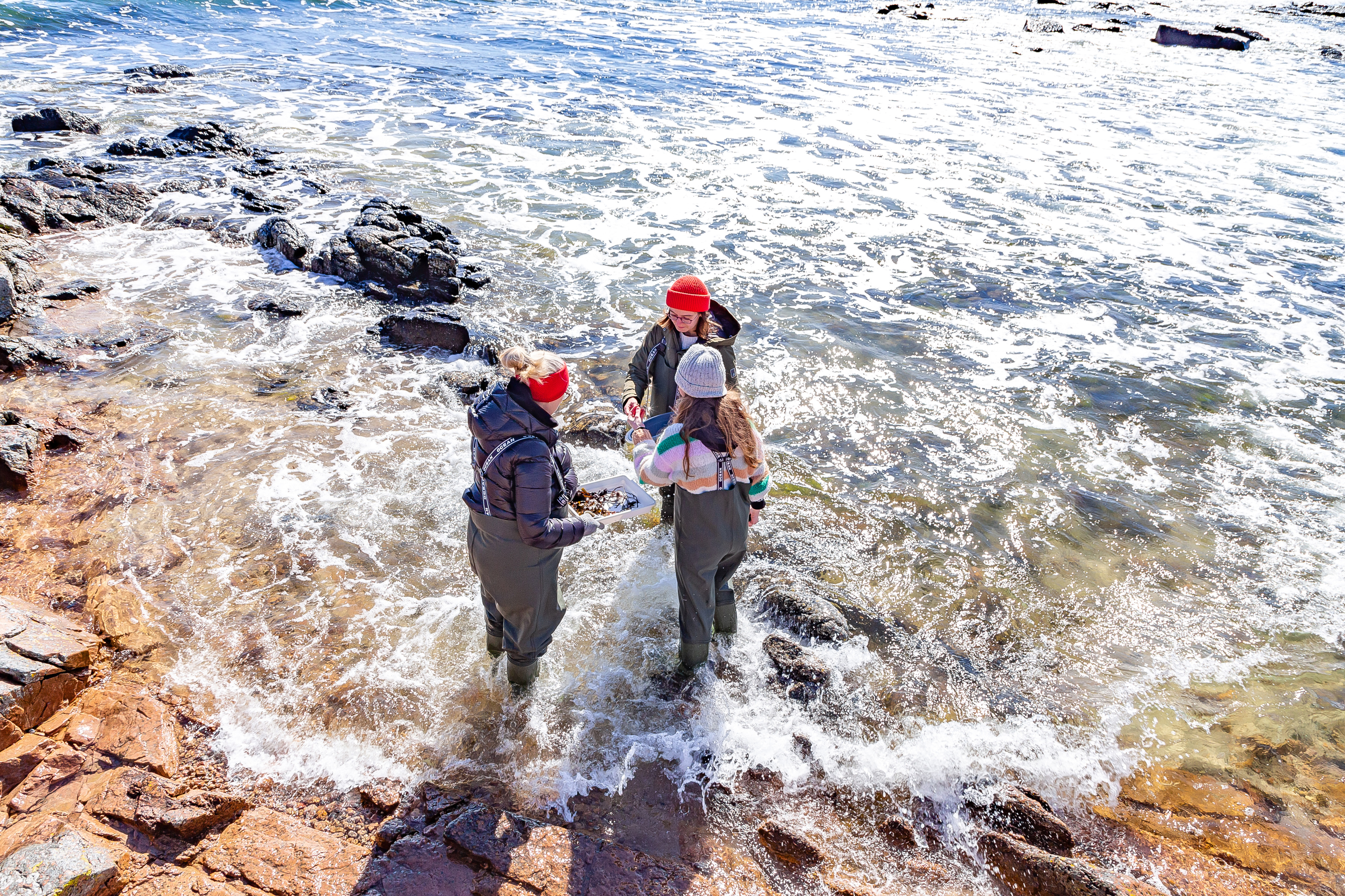 Ivandet Bd 06777 Foto Semko Balcerski