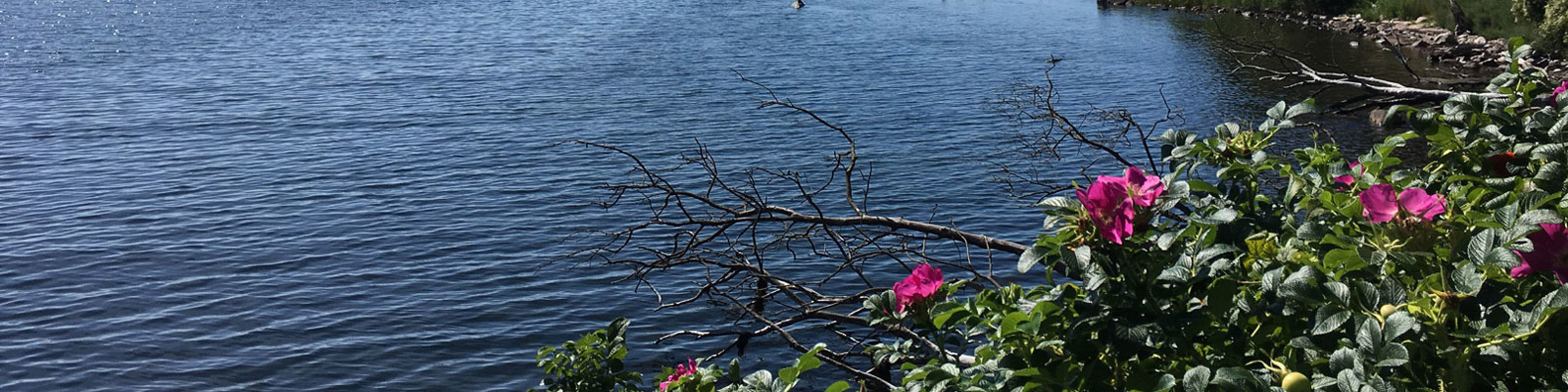 212 Bornholm1600x400