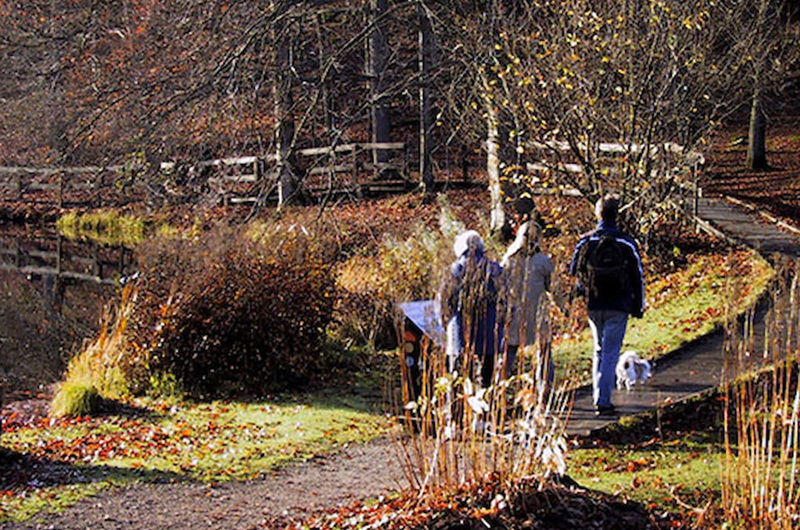Soderasen Nationalpark Naturstigen Guidadigsjalv Sfw 1600X1200
