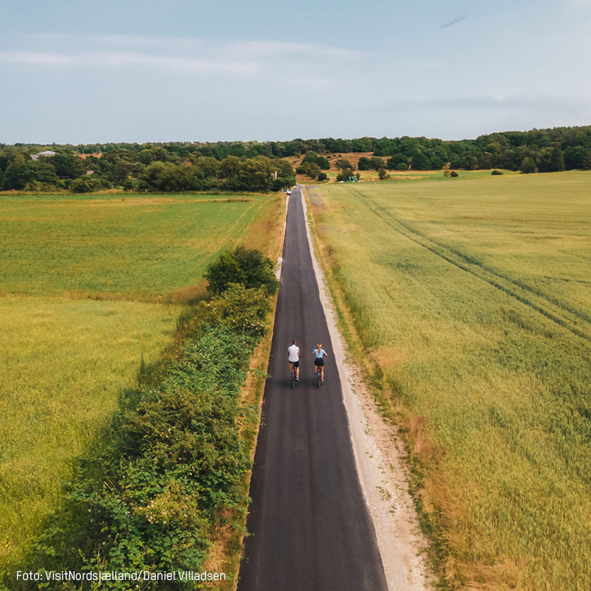 To personer cykler på en smal landevej omgivet af grønne marker i fugleperspektiv.