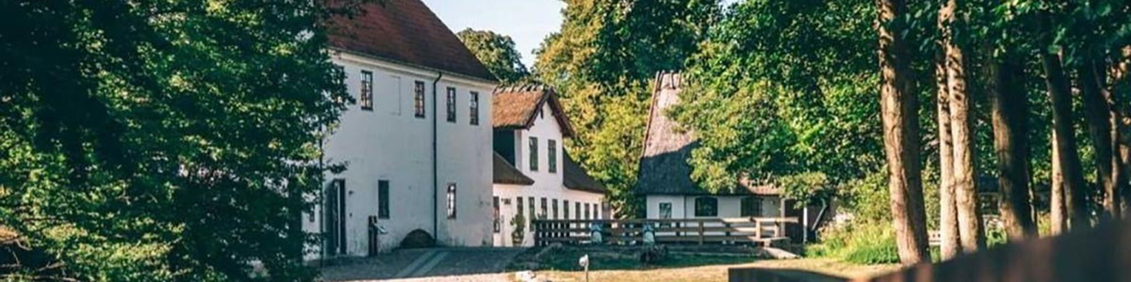 Esrum Kloster ingångsväg med traditionella byggnader omgivna av frodig grönska och träd i en solig miljö.