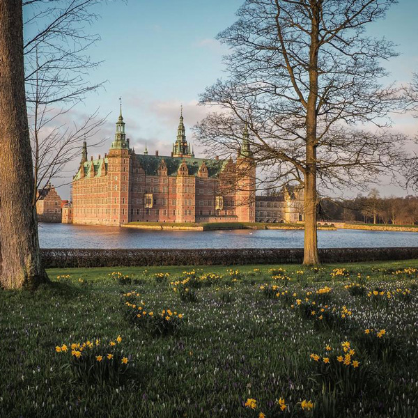 Frederiksborgs slott vid sjön med vårliga påskliljor i förgrunden, Nordsjælland, Danmark.
