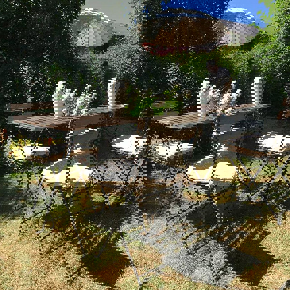 Caféborde med hynder står på en græsplæne med træer i baggrunden.