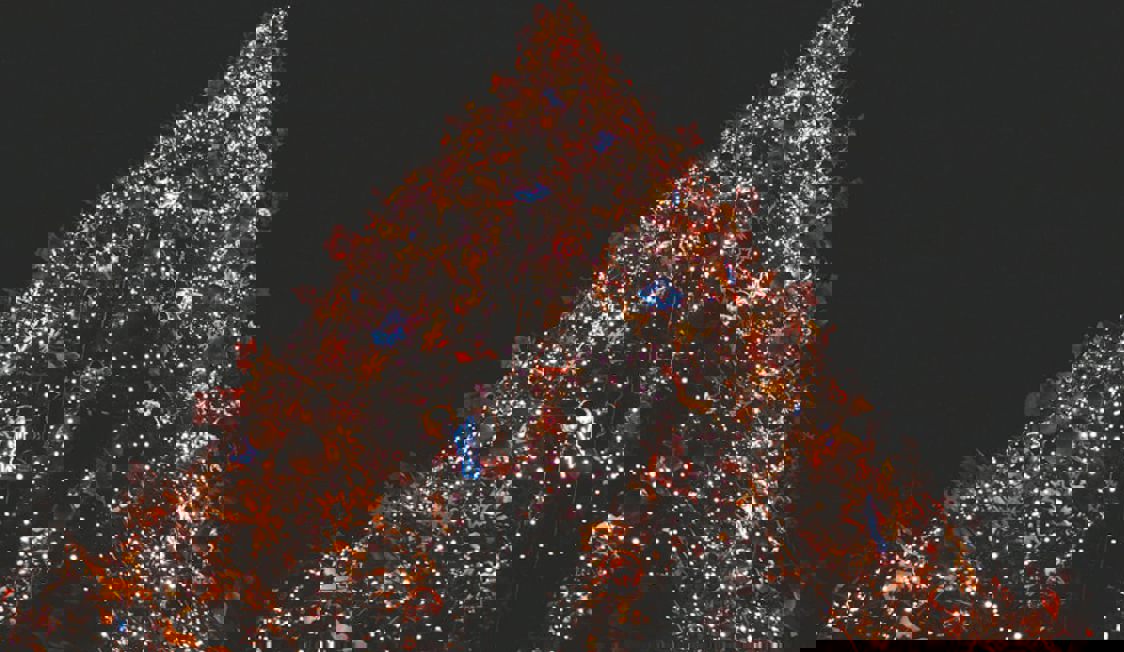 Julgran Pralig Exp 1200X800