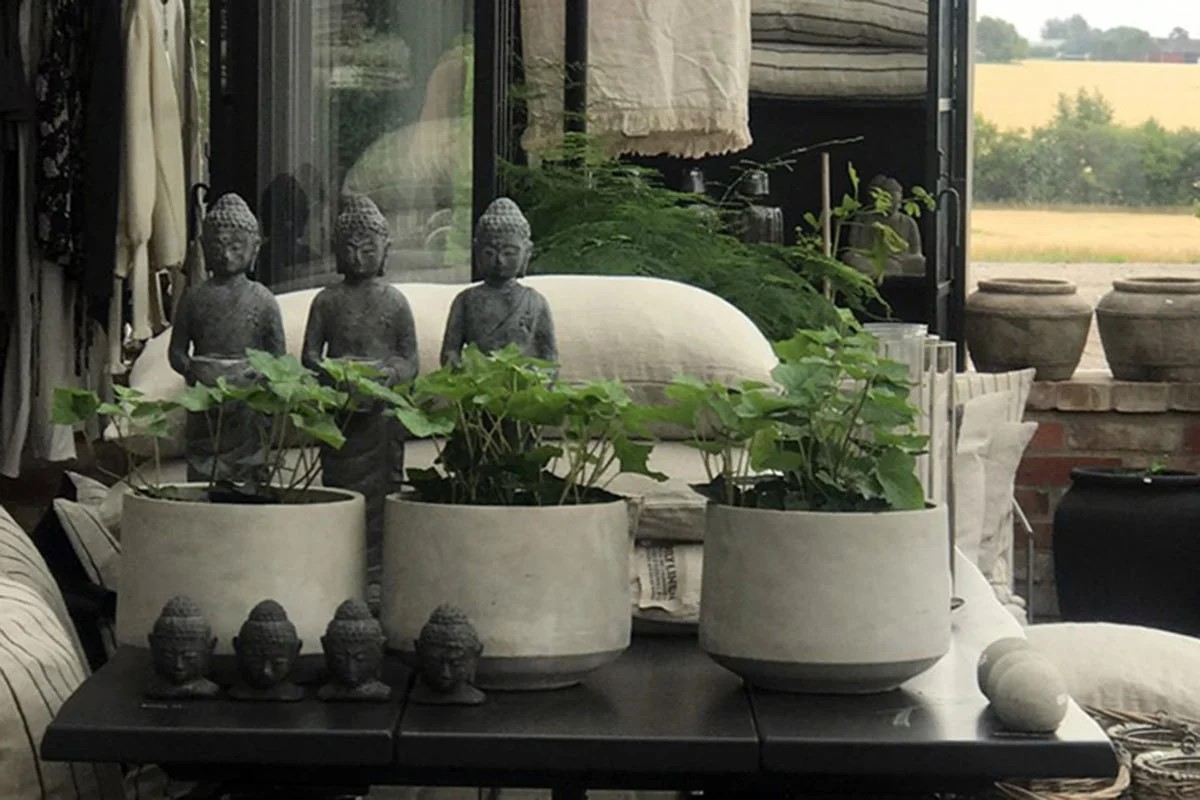 Grå Buddha-statuer ved siden af grønne planter i betonkrukker på et indendørs bord.