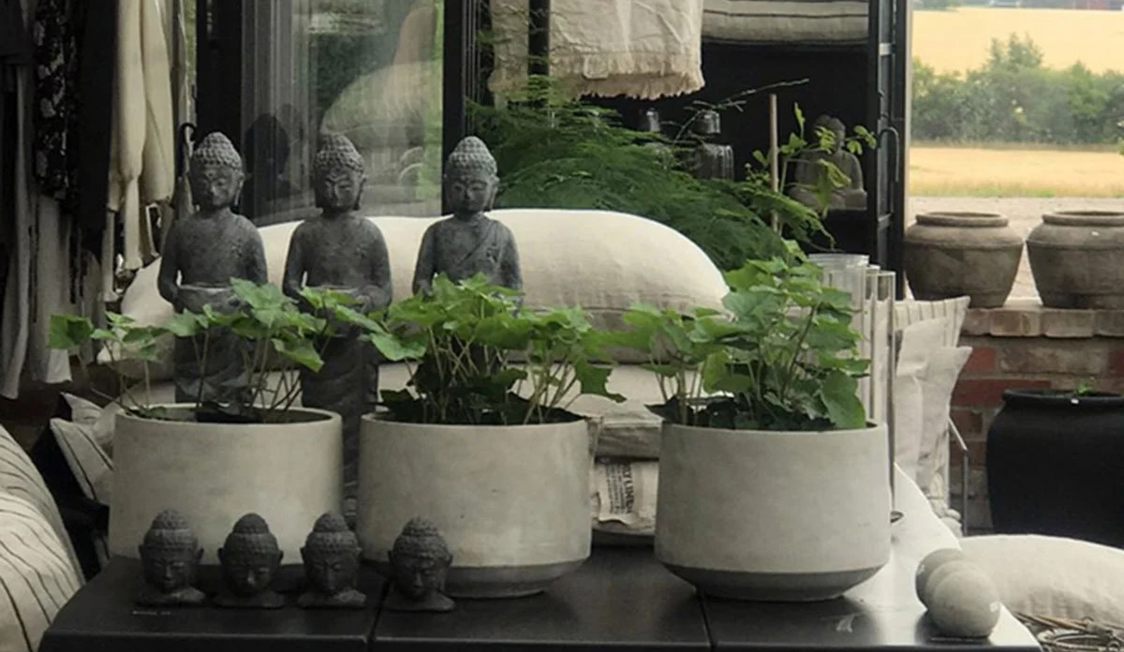 Grå Buddha-statuer ved siden af grønne planter i betonkrukker på et indendørs bord.