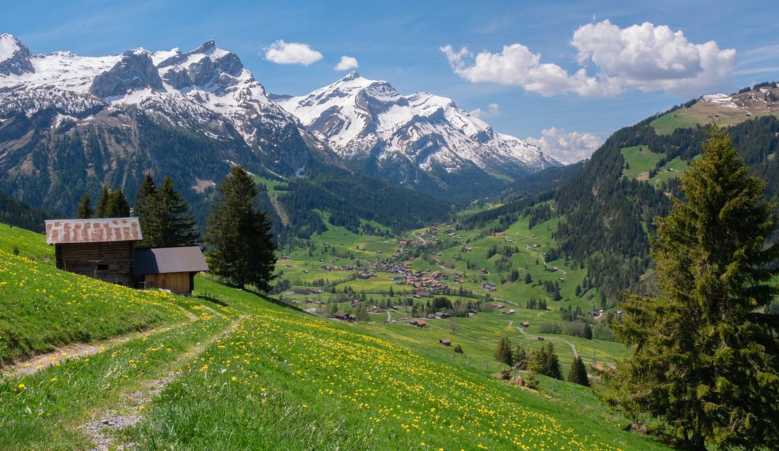 Alplandskap med snötäckta berg och grön dalgång med by, sett från en sluttning med blommor och ett litet hus.