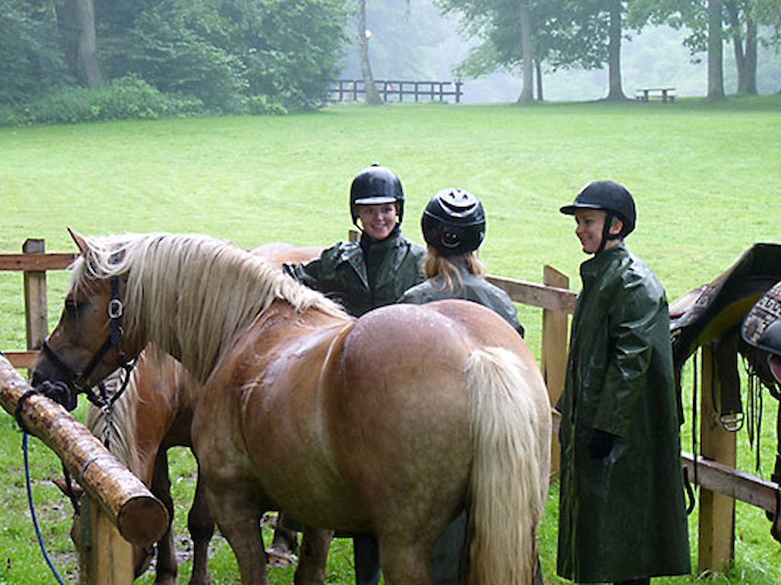 Ryttergruppe taler sammen ved hest på grøn græsplæne iført sikkerhedshjelme og regntøj.