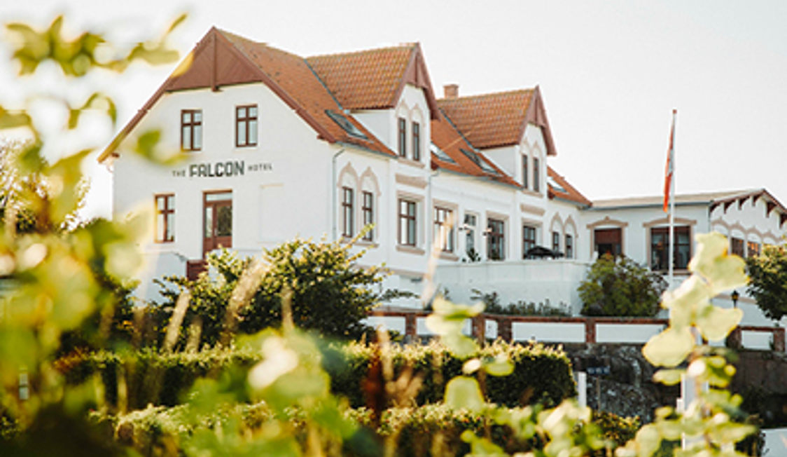 Hjemmeside 400X255 Falcon