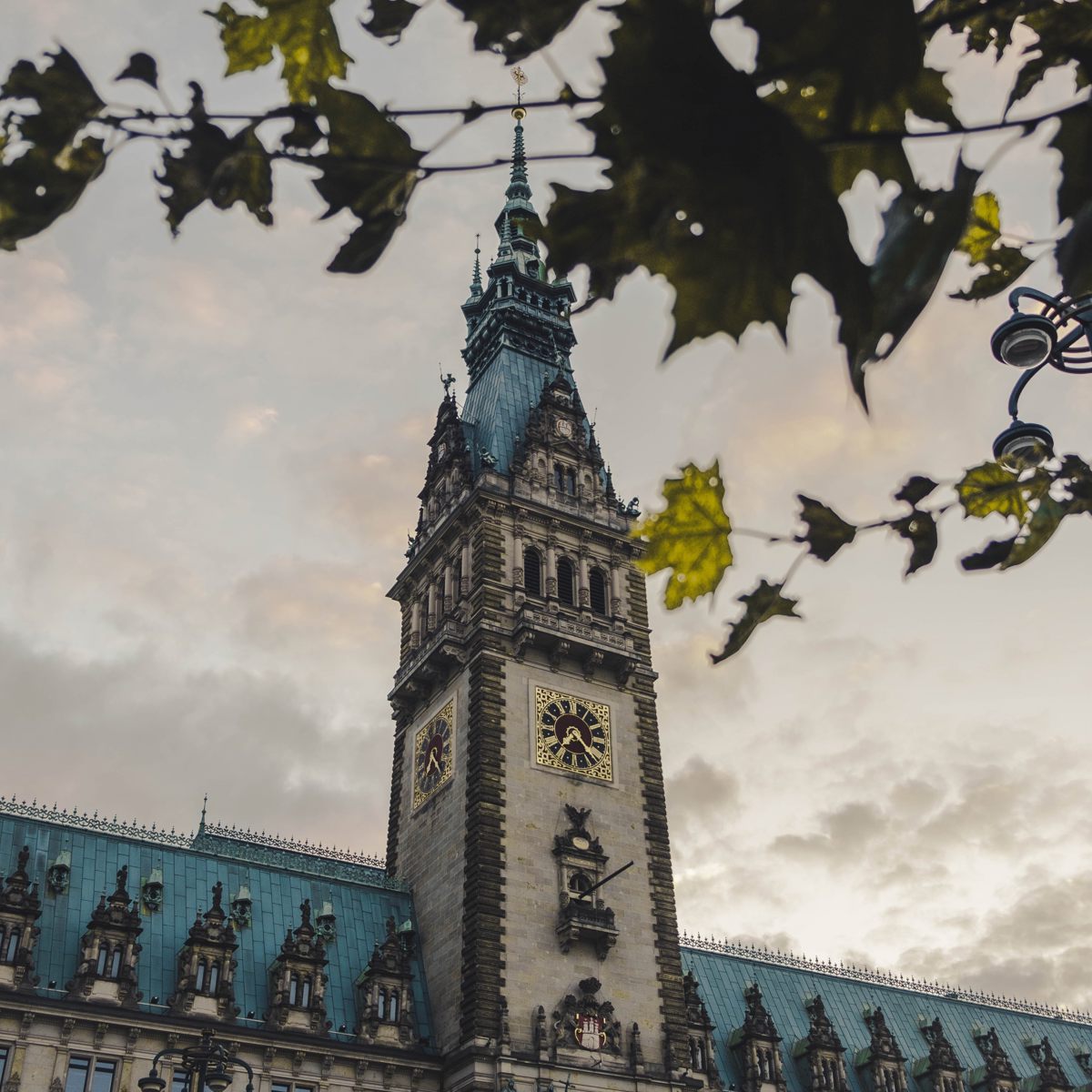 Kyrktorn i Hamburgs rådhus med klocka och utsmyckningar, fotograferat från marknivå med lövverk i förgrunden.